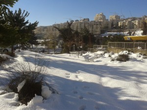 20131215_085314