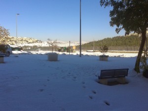 20131215_091843