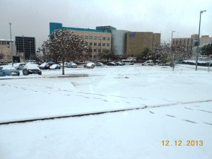 DSCN18988