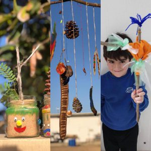 משק מיטל פעילות
