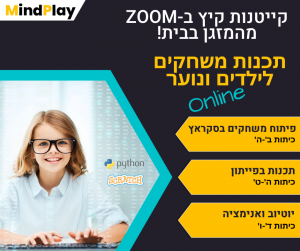 פלייר של מיינדפליי